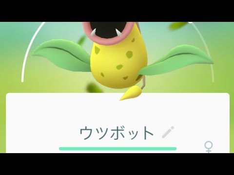 アシッドボム ポケモンgo ウツボット強くナレー ポケモンgo攻略newsまとめアンテナ